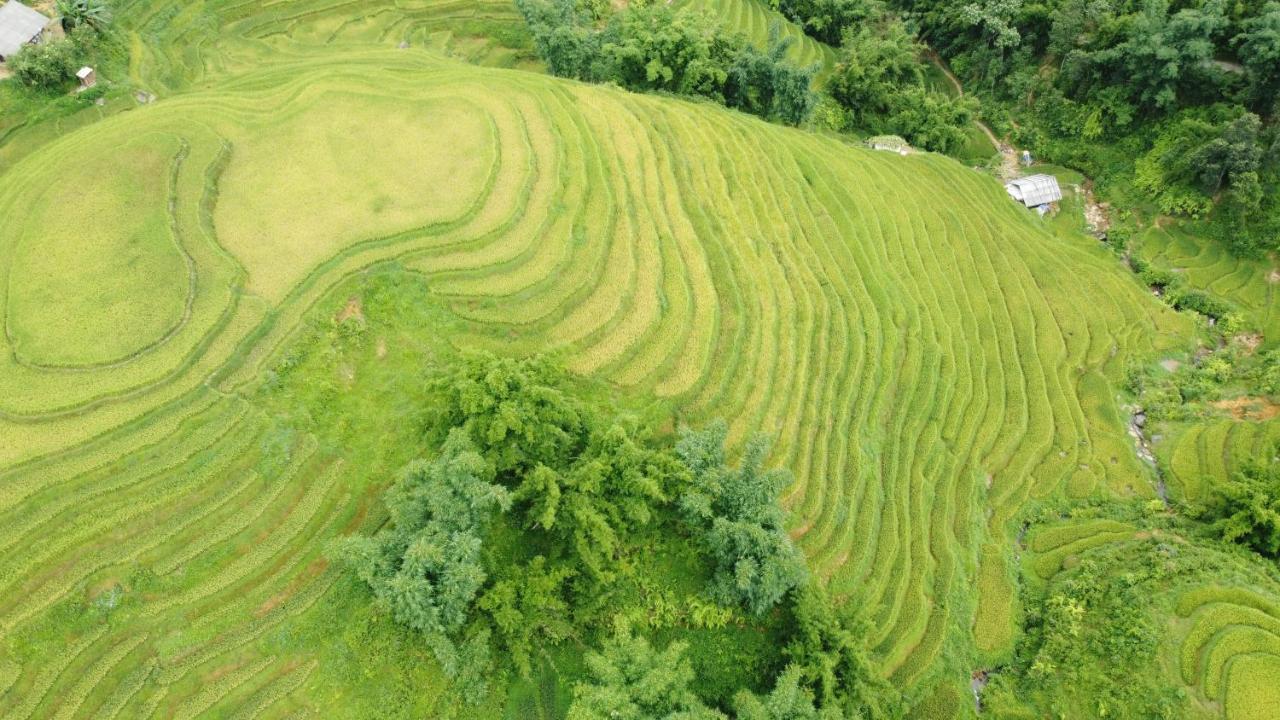 May Homestay Sapa ภายนอก รูปภาพ