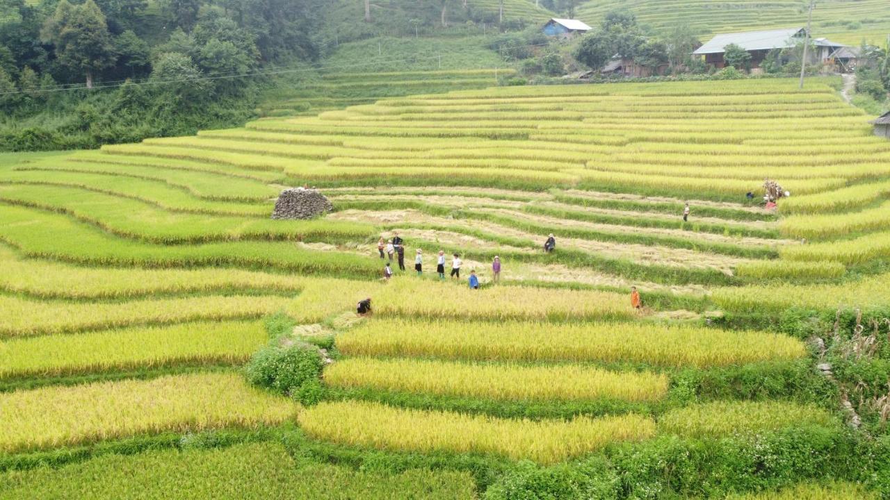 May Homestay Sapa ภายนอก รูปภาพ
